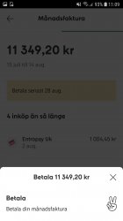 Screenshot_20180815-110946_Klarna.jpg